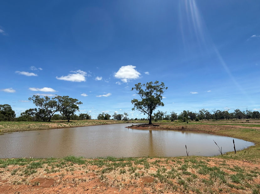 Pick a site near the dam